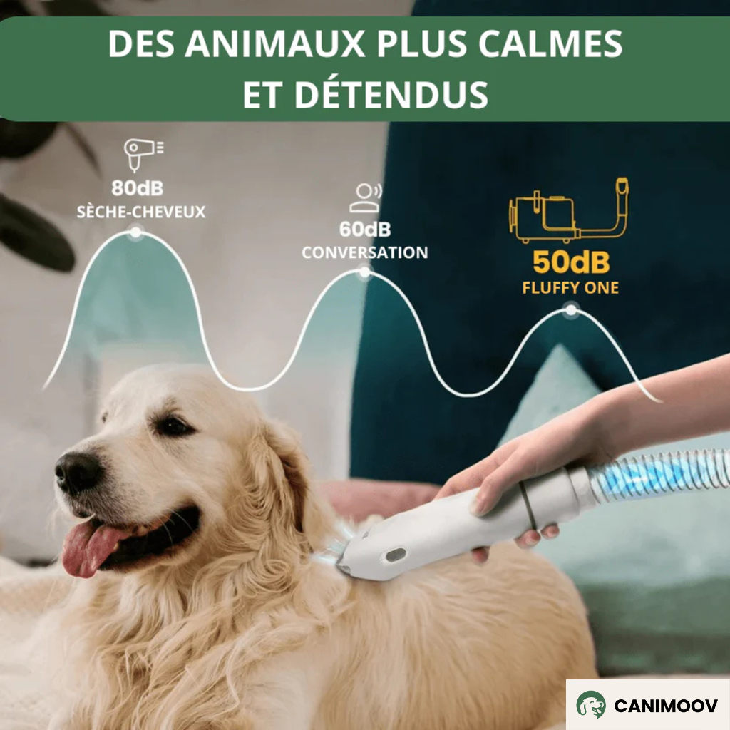 FluffyOne+™ – Aspirateur Silencieux avec Tondeuse, Brosse & 5 Accessoires