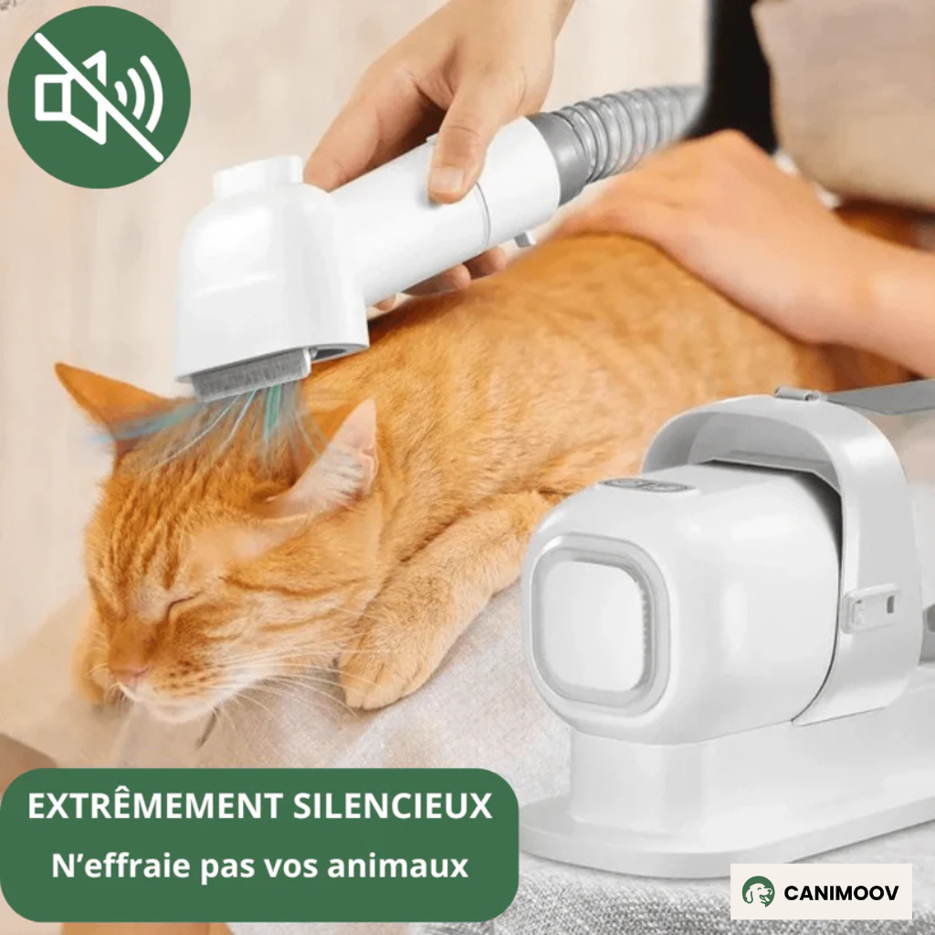 FluffyOne+™ – Aspirateur Silencieux avec Tondeuse, Brosse & 5 Accessoires