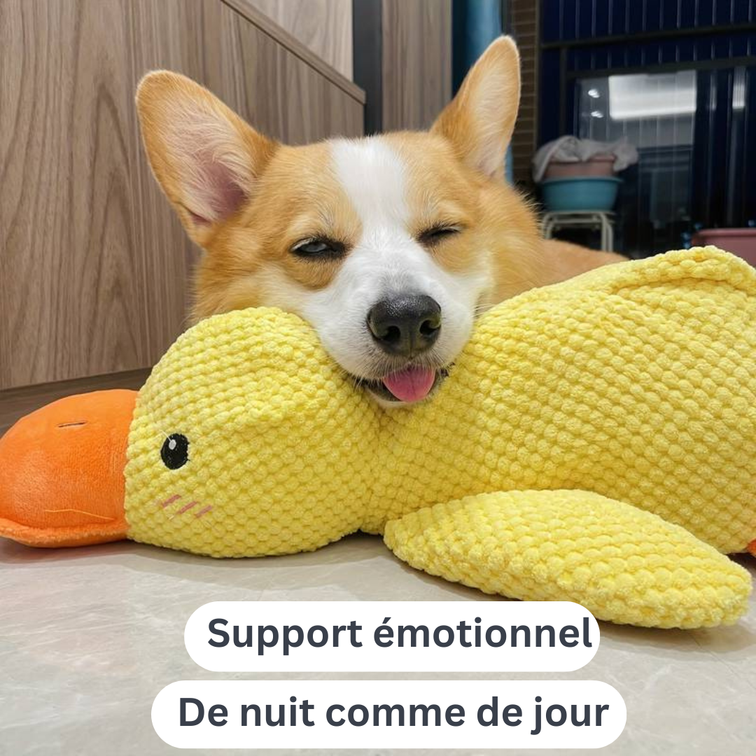 CaniCoincoin | Peluche Canard super résistante & apaisante