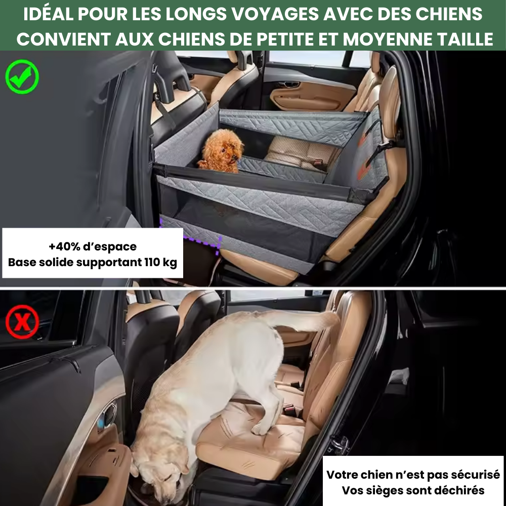 CaniMoov+™ – Caisse de Transport Voiture pour Chien