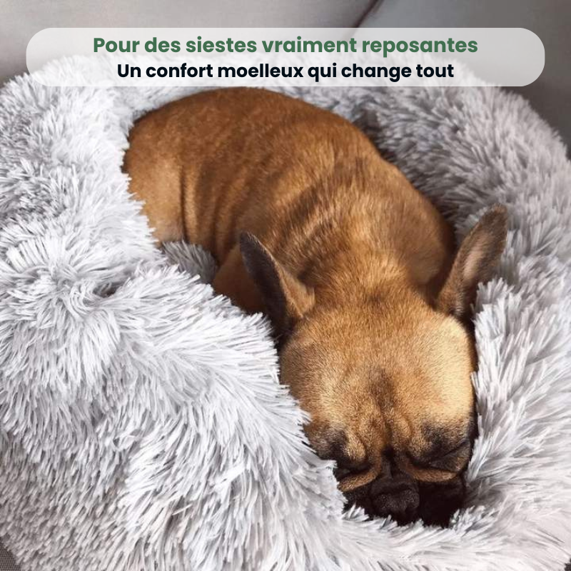 Coussin CaniZen+™ | Ultra-Moelleux & Confort Absolu
