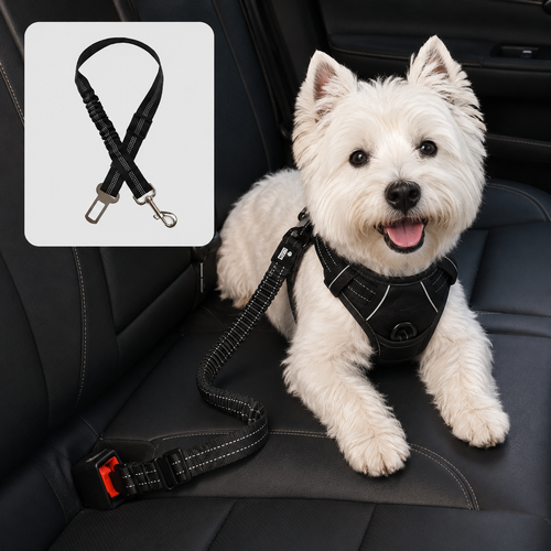 Ceinture de sécurité ajustable pour chien