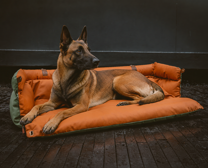 CaniCocon+™ – Le cocon de voyage premium pour chien