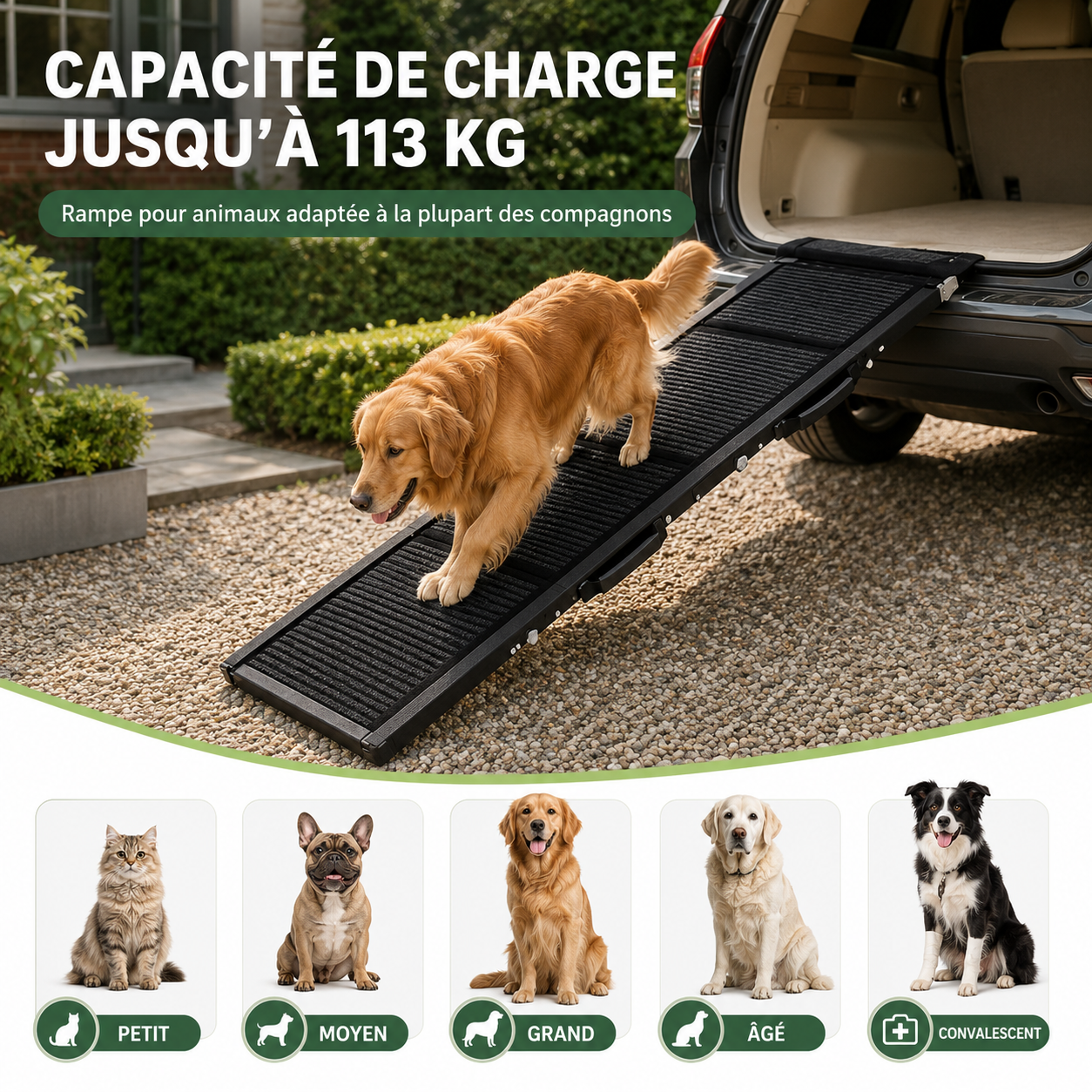 CaniRamp+™ - Accès voiture sécurisé