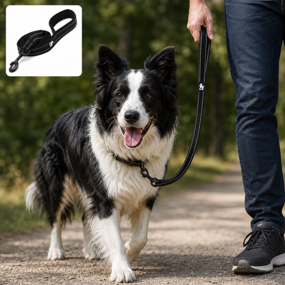 CaniLead+™ - Laisse réfléchissante premium pour chien