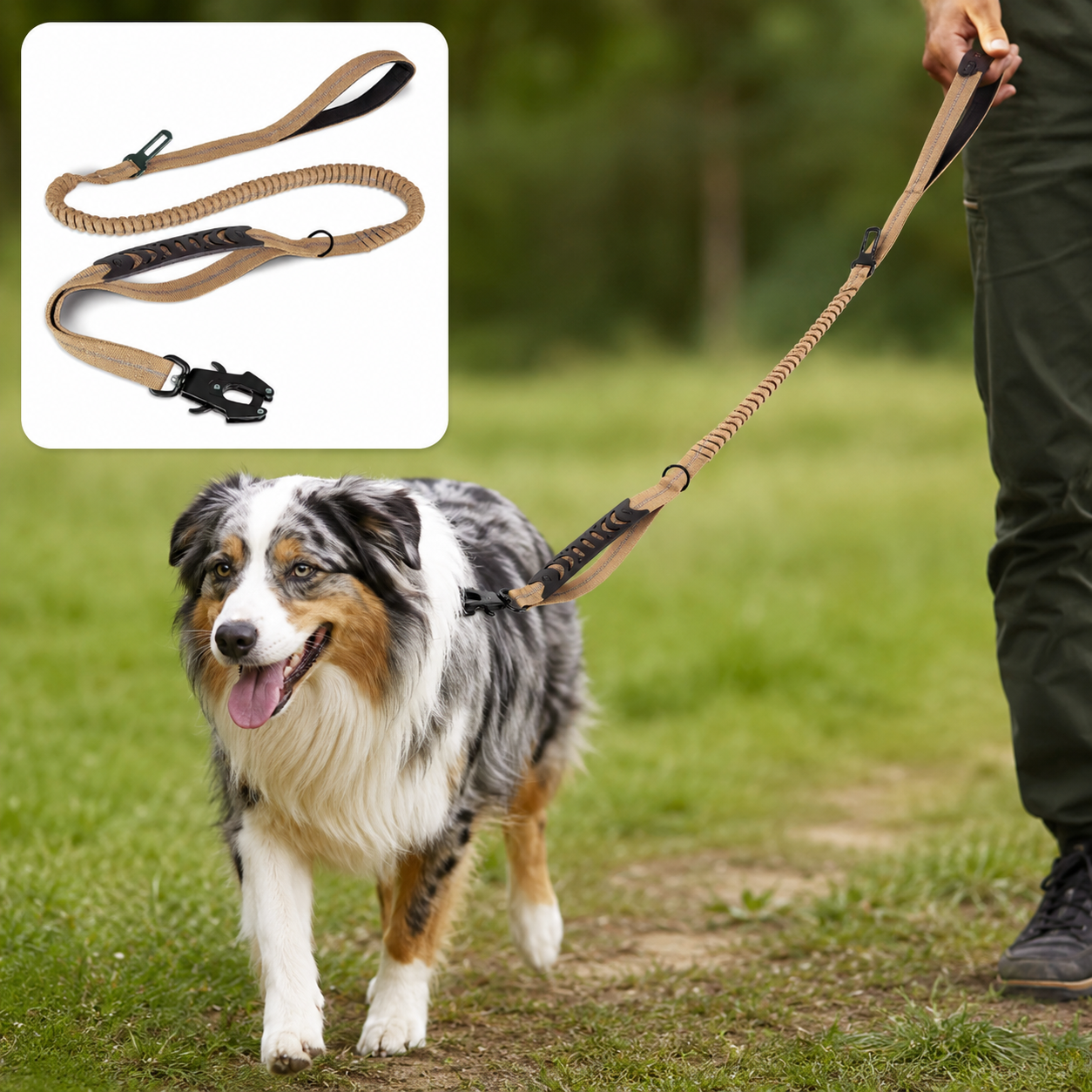 CaniFlex+™ — Laisse anti-chocs réfléchissante pour grands chiens