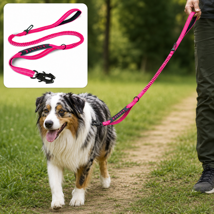 CaniFlex+™ — Laisse anti-chocs réfléchissante pour grands chiens