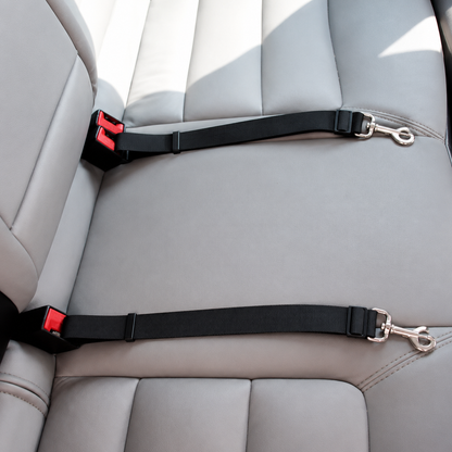 Ceinture de sécurité