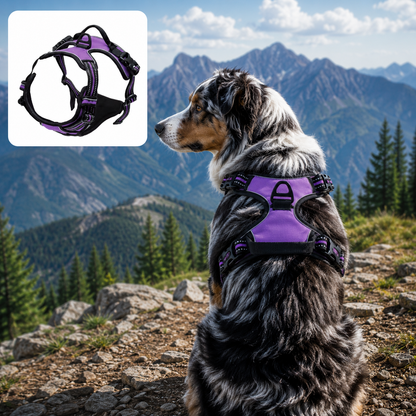 CaniTract+™ - Smart Anti-Pull Harness