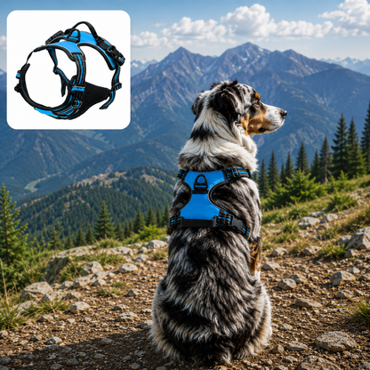 CaniTract+™ - Smart Anti-Pull Harness