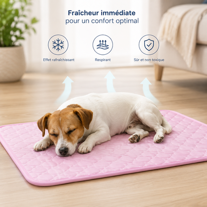 CaniFresh+™ — Le tapis rafraîchissant qui garde votre chien au frais tout l’été