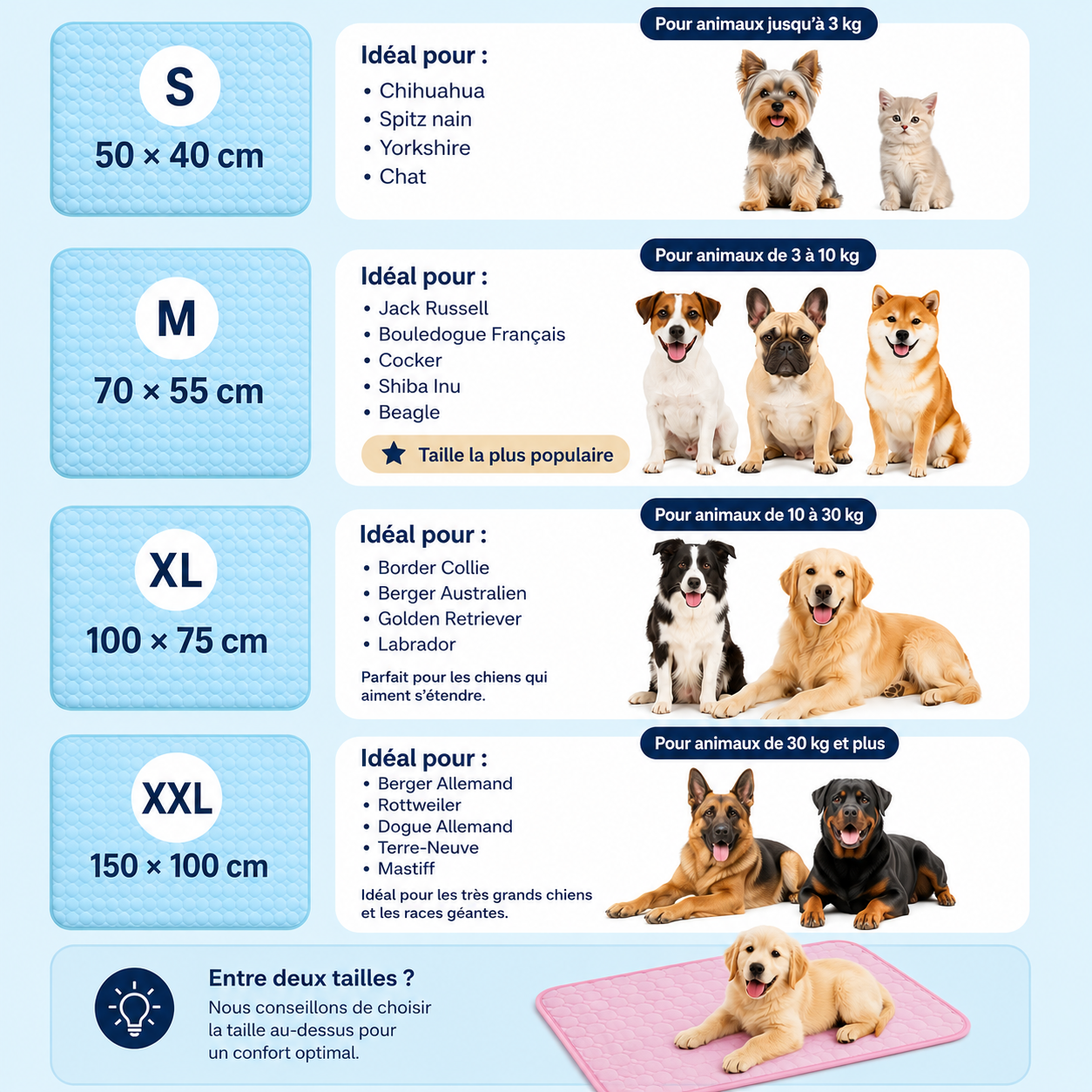 CaniFresh+™ — Le tapis rafraîchissant qui garde votre chien au frais tout l’été