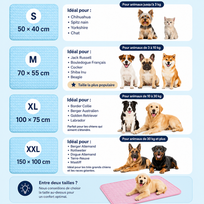 CaniFresh+™ — Le tapis rafraîchissant qui garde votre chien au frais tout l’été