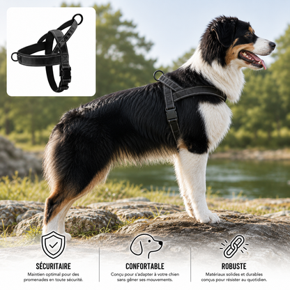 CaniControl+™ – Harnais Anti-Traction