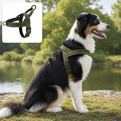 CaniControl+™ – Harnais Anti-Traction