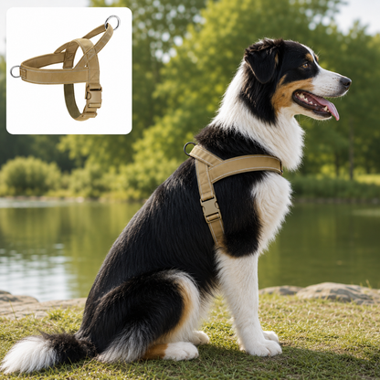CaniControl+™ – Harnais Anti-Traction
