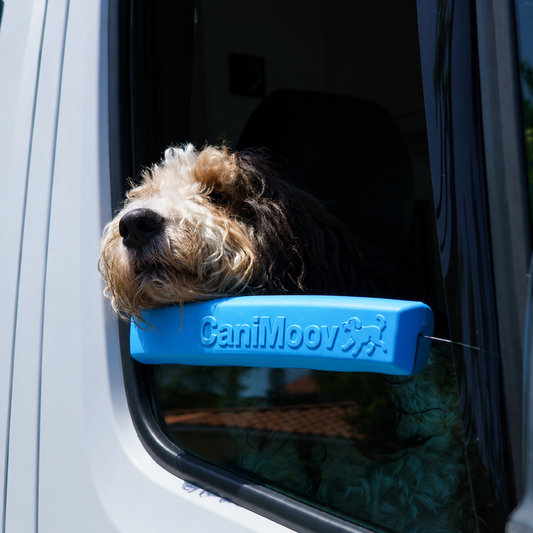 CaniMoov Repose-Truffe™ - Confort et maintien à la fenêtre