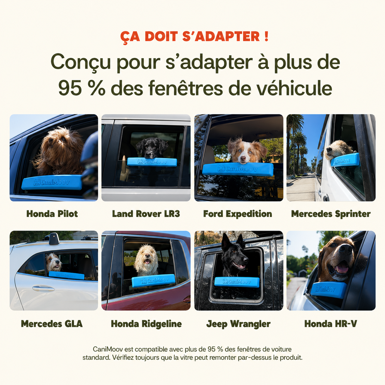 CaniMoov Repose-Truffe™ - Confort et maintien à la fenêtre