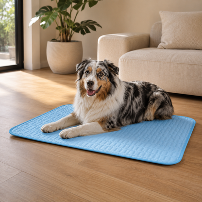CaniFresh+™ — Le tapis rafraîchissant qui garde votre chien au frais tout l’été