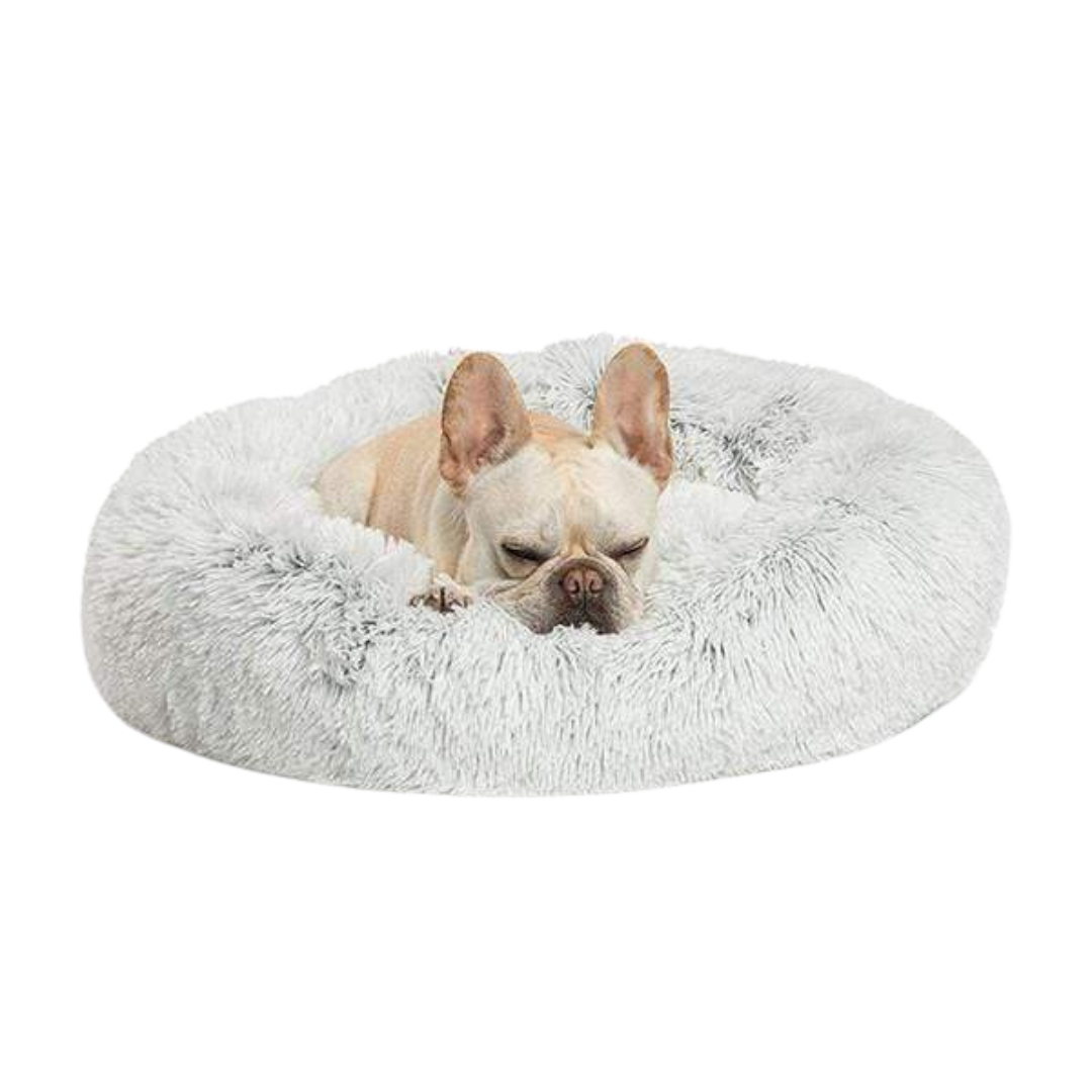 Coussin CaniZen+™ | Ultra-Moelleux & Confort Absolu