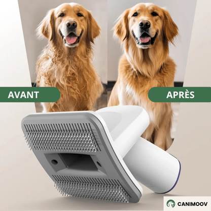 FluffyOne+™ – Aspirateur Silencieux avec Tondeuse, Brosse & 5 Accessoires