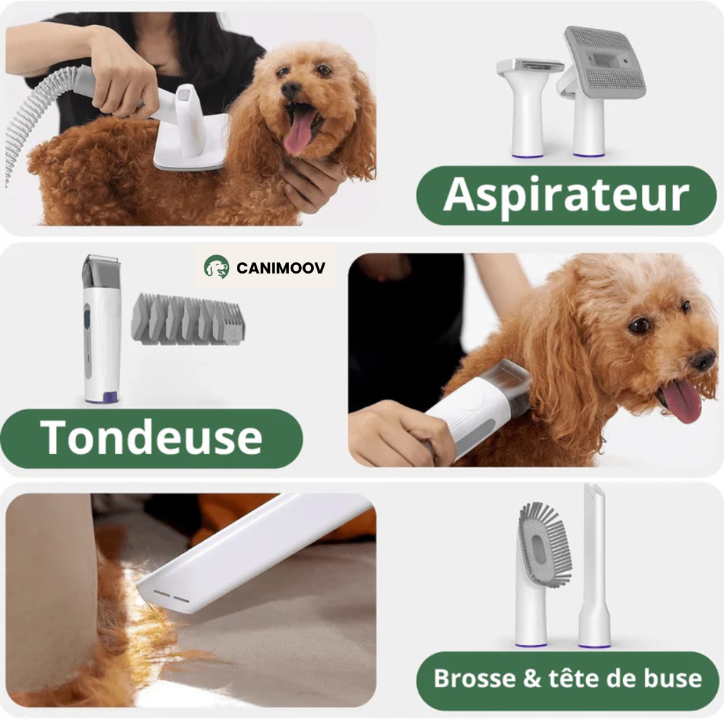 FluffyOne+™ – Aspirateur Silencieux avec Tondeuse, Brosse & 5 Accessoires