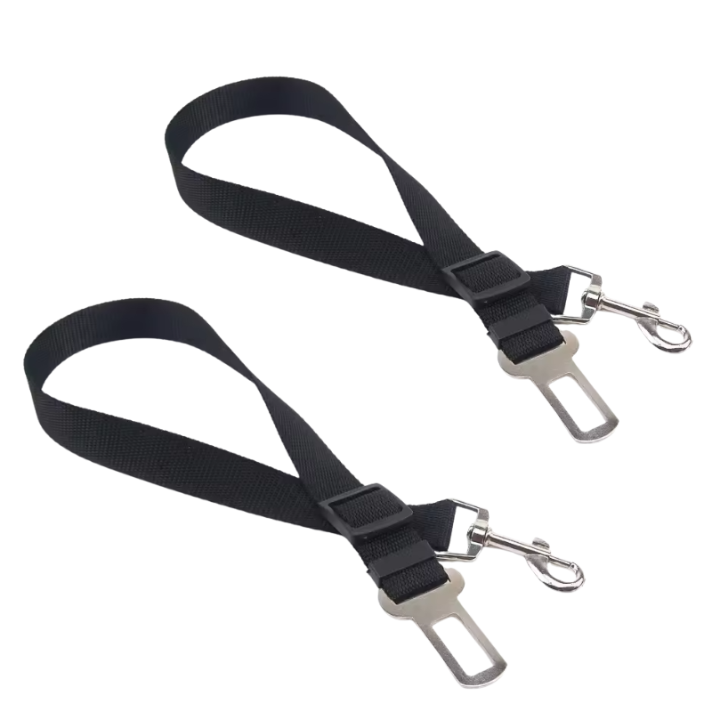 Ceinture de sécurité