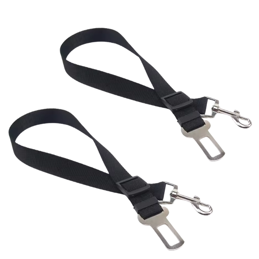 Ceinture de sécurité