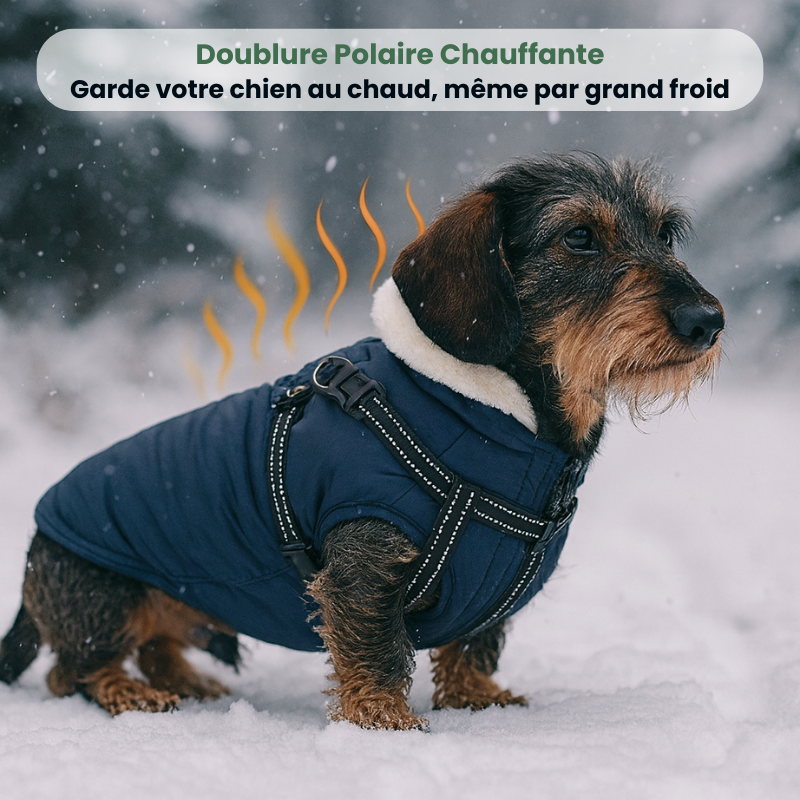 Doudoune CaniMoov+™ | Douillette & Imperméable