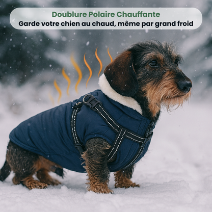 Doudoune CaniMoov+™ | Douillette & Imperméable