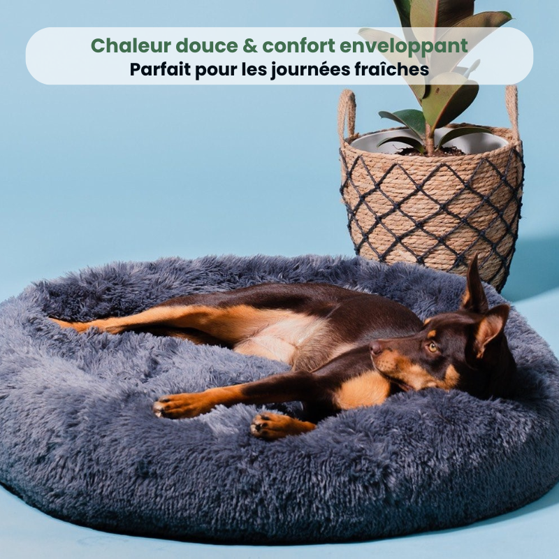 Coussin CaniZen+™ | Ultra-Moelleux & Confort Absolu