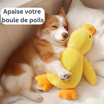 CaniCoincoin | Peluche Canard super résistante & apaisante