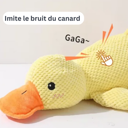 CaniCoincoin | Peluche Canard super résistante & apaisante
