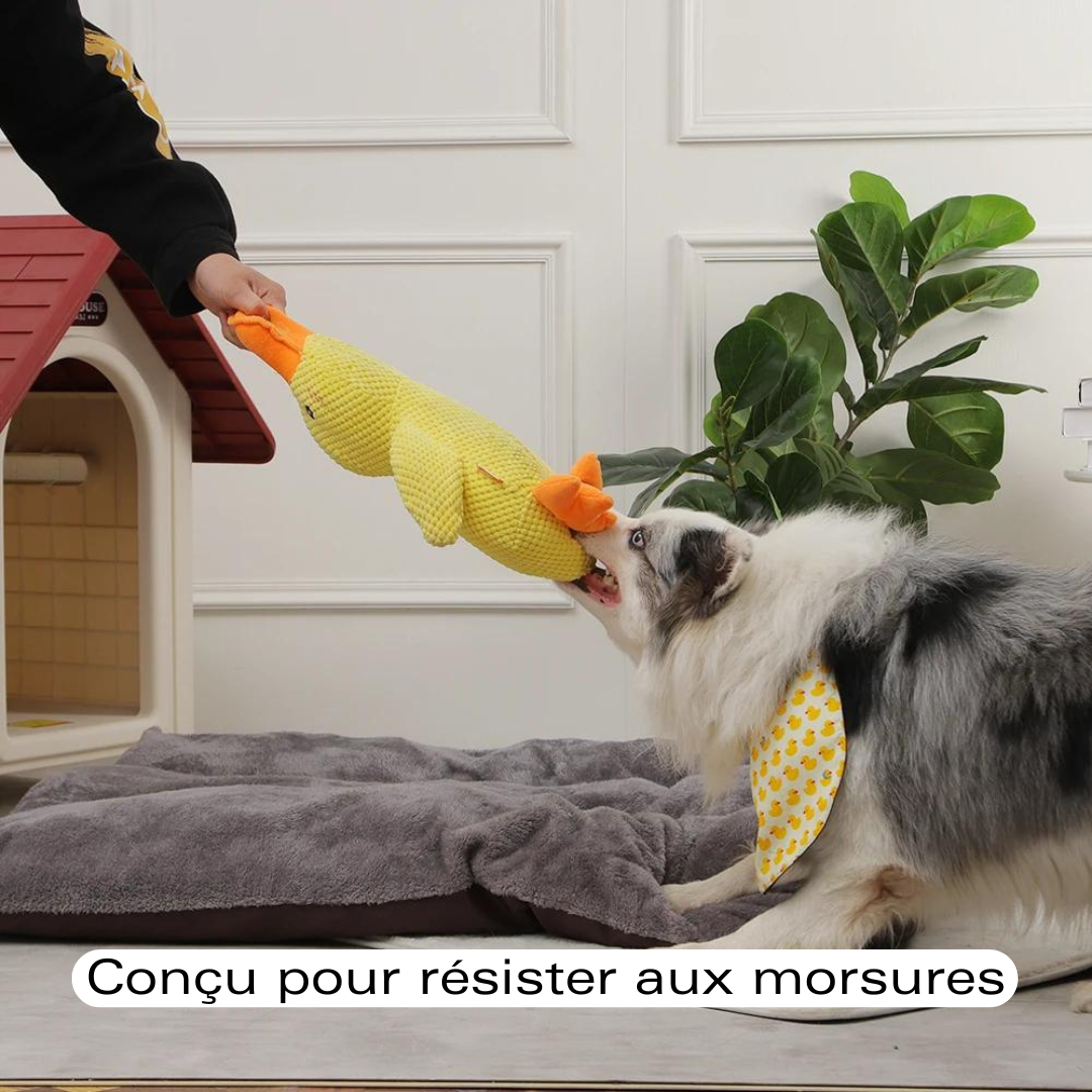 CaniCoincoin | Peluche Canard super résistante & apaisante