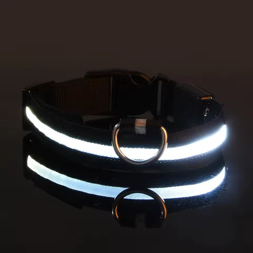 CaniLight+™ | Visible de nuit, chien en sécurité