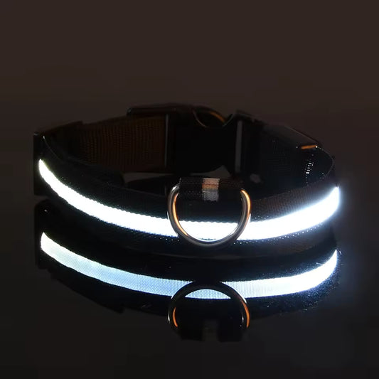 CaniLight+™ | Visible de nuit, chien en sécurité