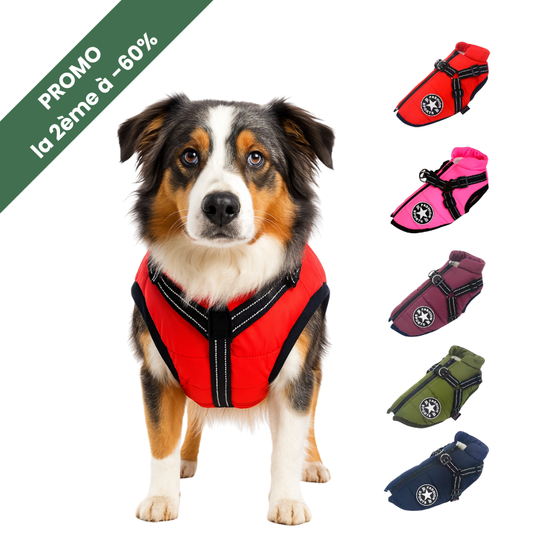 Doudoune CaniMoov+™ | Douillette & Imperméable