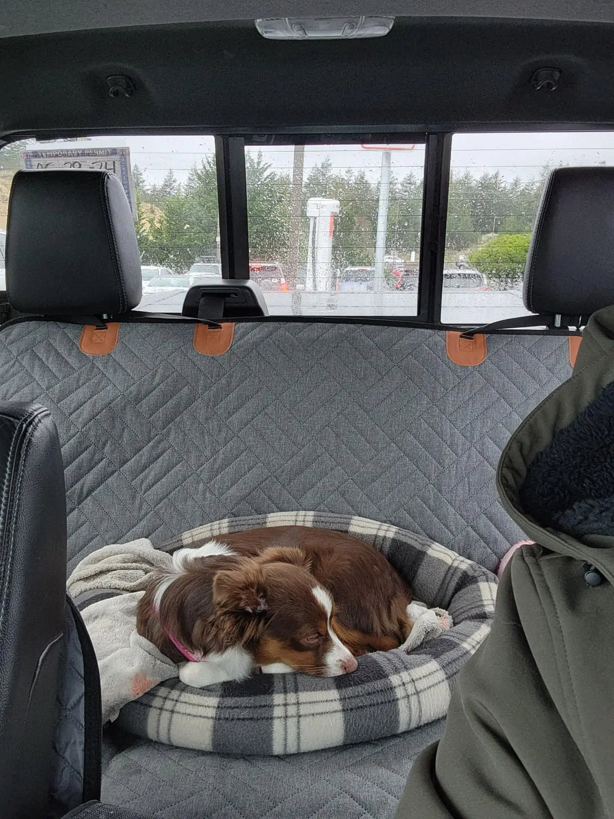 TravelPad autobescherming voor honden