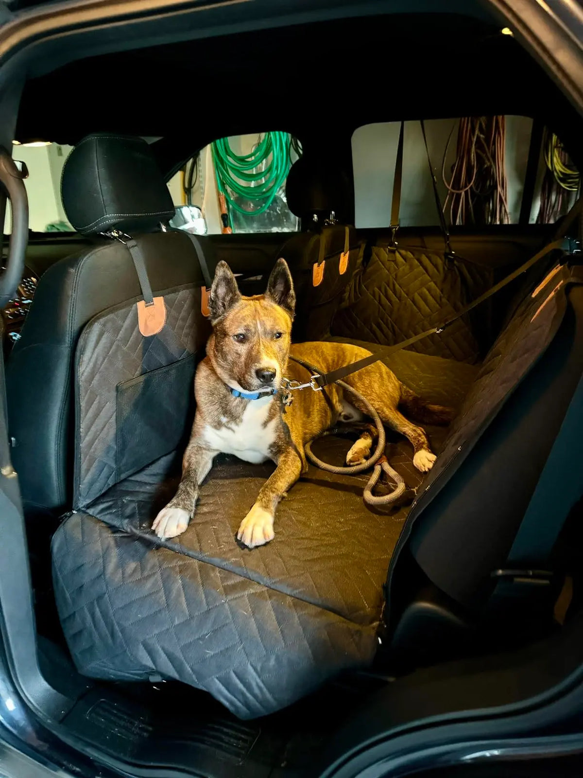 TravelPad hondenhoes voor de auto