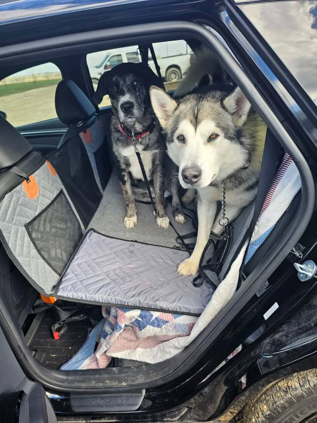 TravelPad achterbankhoes voor honden
